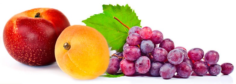 luisteraar Prestigieus Ongedaan maken Frutas dulces: lista de las principales frutas - Fruta Pasión - Fruta Pasión